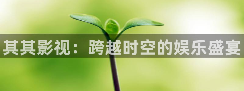 麻豆精选视频在线观看：其其影视：跨越时空的娱乐盛宴