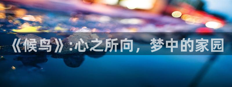 视频专区麻豆精品：《候鸟》:心之所向，梦中的家园