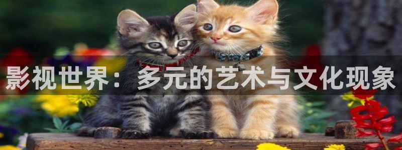 麻豆久久免费观看