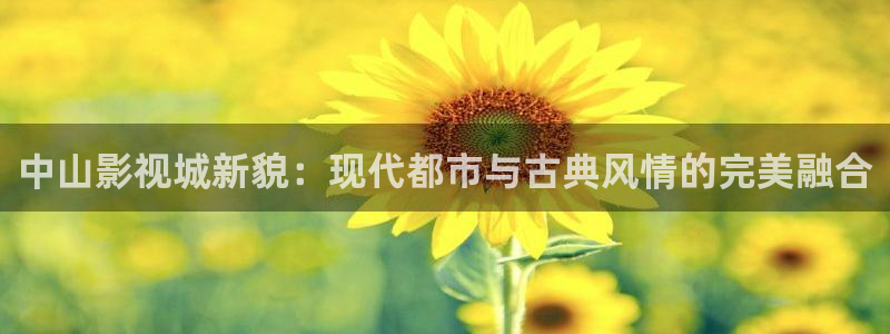伦理麻豆电影