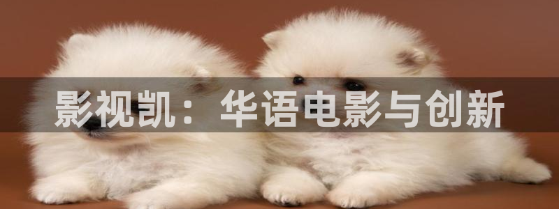 麻豆影视作品：影视凯：华语电影与创新