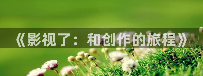 电影麻豆