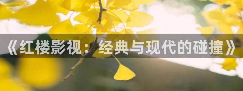 麻豆mv在线看免费观看电视剧